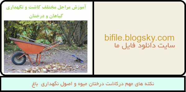 نکته های مهم درکاشت درختان میوه و اصول نگهداری  باغ