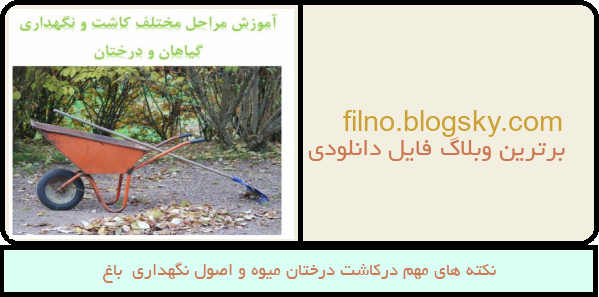 نکته های مهم درکاشت درختان میوه و اصول نگهداری  باغ