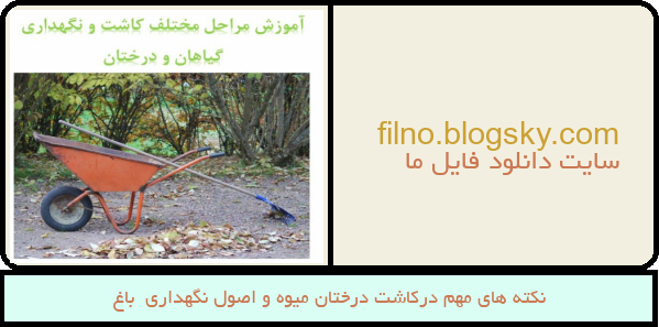 نکته های مهم درکاشت درختان میوه و اصول نگهداری  باغ
