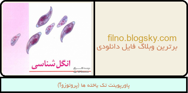 پاورپوینت تک یاخته ها (پروتوزوآ)