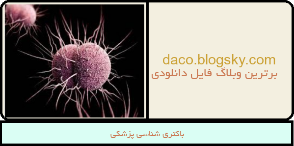 باکتری شناسی پزشکی