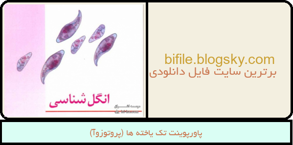 پاورپوینت تک یاخته ها (پروتوزوآ)