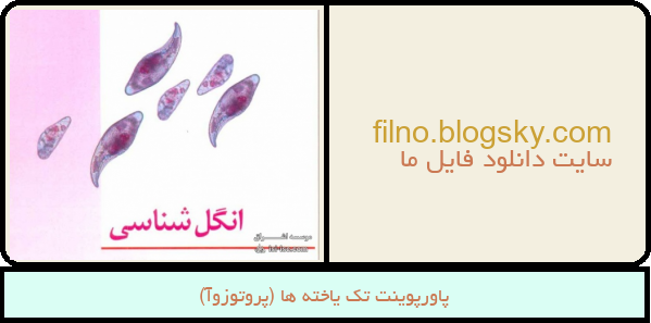 پاورپوینت تک یاخته ها (پروتوزوآ)