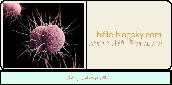 باکتری شناسی پزشکی