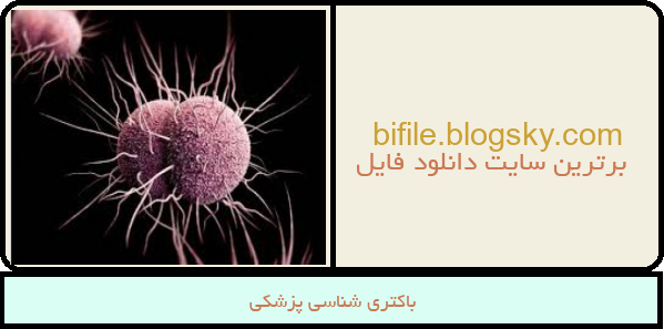 باکتری شناسی پزشکی
