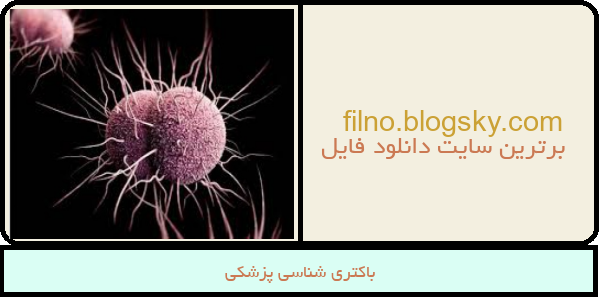 باکتری شناسی پزشکی