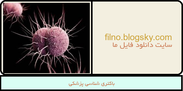 باکتری شناسی پزشکی
