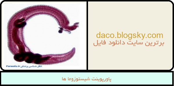 پاورپوینت شیستوزوما ها