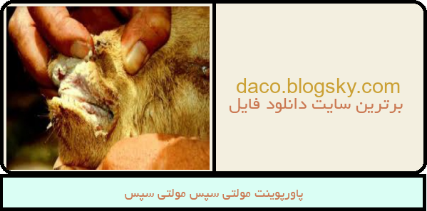 پاورپوینت مولتی سپس مولتی سپس