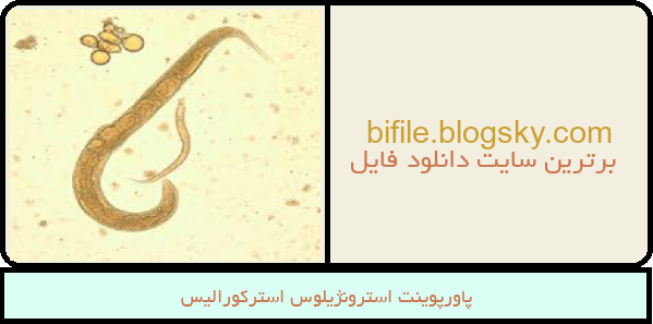 پاورپوینت استرونژیلوس استرکورالیس