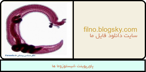 پاورپوینت شیستوزوما ها