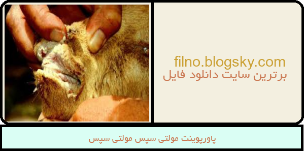 پاورپوینت مولتی سپس مولتی سپس