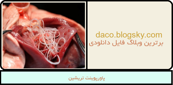 پاورپوینت تریشین