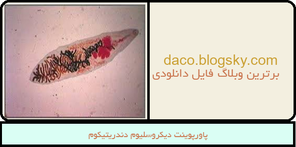 پاورپوینت دیکروسلیوم دندریتیکوم