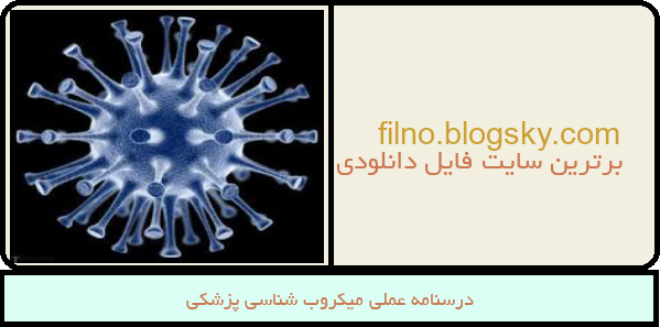 درسنامه عملی میکروب شناسی پزشکی
