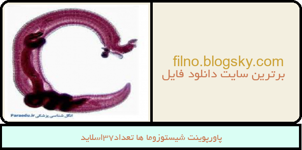 پاورپوینت شیستوزوما ها تعداد37اسلاید