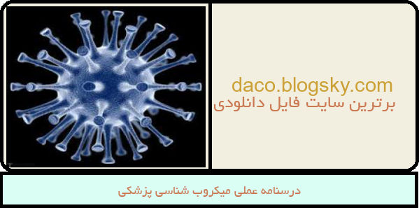 درسنامه عملی میکروب شناسی پزشکی