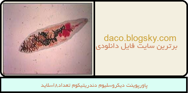 پاورپوینت دیکروسلیوم دندریتیکوم تعداد8اسلاید
