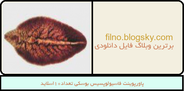 پاورپوینت فاسیولوپسیس بوسکی تعداد10اسلاید