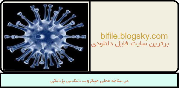 درسنامه عملی میکروب شناسی پزشکی