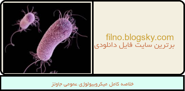 خلاصه کامل میکروبیولوژی عمومی جاوتز