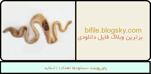 پاورپوینت سستودها تعداد11اسلاید