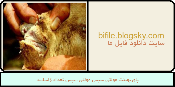 پاورپوینت مولتی سپس مولتی سپس تعداد6اسلاید