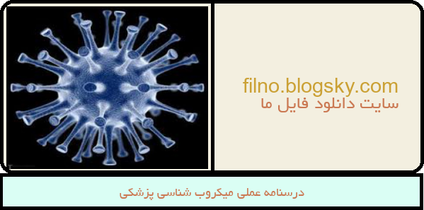 درسنامه عملی میکروب شناسی پزشکی
