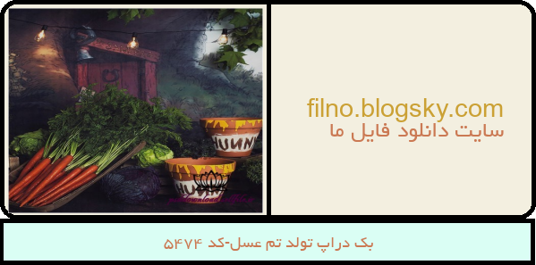 بک دراپ تولد تم عسل-کد 5474