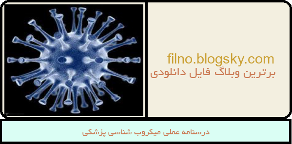 درسنامه عملی میکروب شناسی پزشکی
