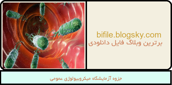 جزوه آزمایشگاه میکروبیولوژی عمومی