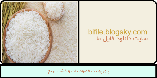 پاورپوینت خصوصیات و کشت برنج