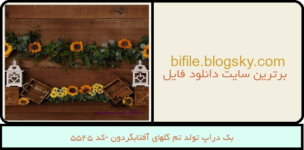 بک دراپ تولد تم گلهای آفتابگردون -کد 5545