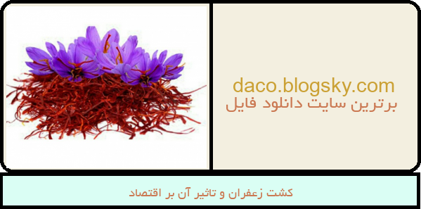 کشت زعفران و تاثیر آن بر اقتصاد