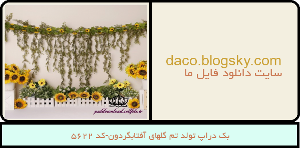 بک دراپ تولد تم گلهای آفتابگردون-کد 5622