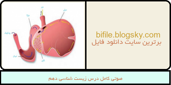 صوتی کامل درس زیست شناسی دهم