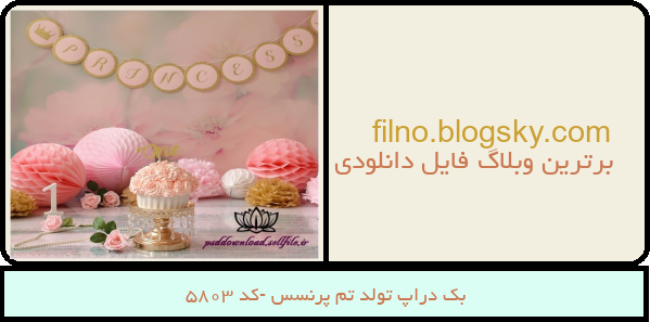 بک دراپ تولد تم پرنسس -کد 5803